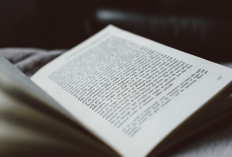 Synopsis and Link to Read Novel The Day I Agreed to Divorce Full Chapter English Translation, Ethan Ask Vivian for A Divorce